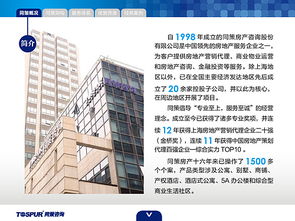 房地產(chǎn)咨詢服務(wù) 賦能決策，驅(qū)動(dòng)價(jià)值