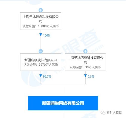 支付牌照再易主，網絡技術服務成新賽道